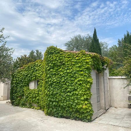 Le Mas Du Chemin : Mas Typique Des Alpilles パラドゥー エクステリア 写真
